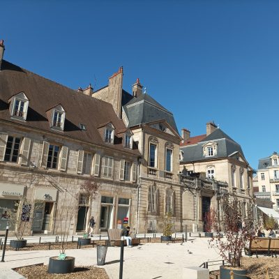 Guided tour in Dijon – 4 hours
