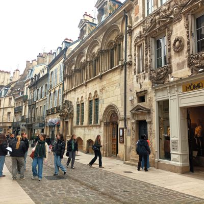 Guided tour in Dijon – 4 hours