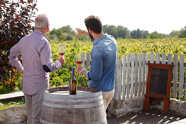 Guided tour in Burgundy