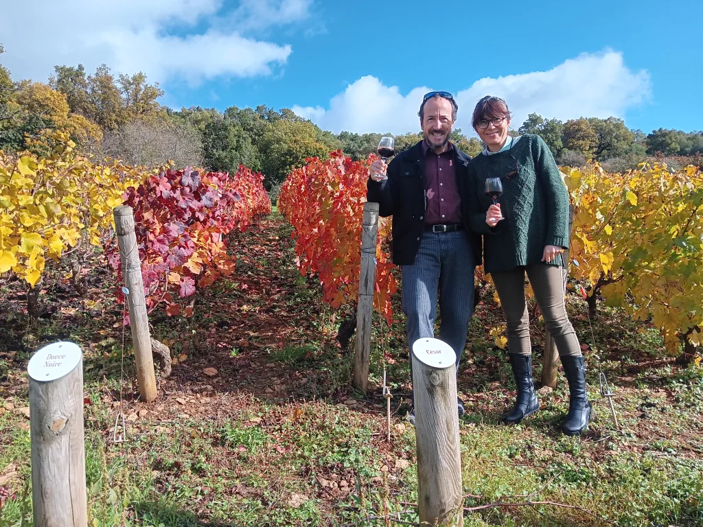 Tour in Burgundy, Romain Bouchaud