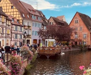 Guided tour in Colmar