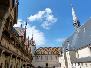 Guided tour of the Hospices of Beaune, Romain Bouchaud