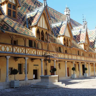 Guided tour of Beaune including the Hospices, Romain Bouchaud
