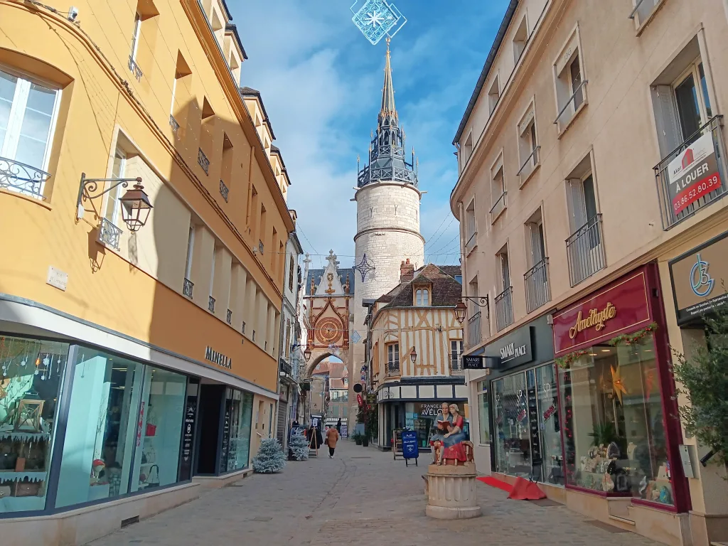 Guided tour in Auxerre, Romain Bouchaud, Tour guide in Auxerre