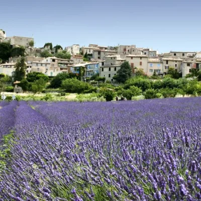 Visite guidée à Grasse – 2 heures