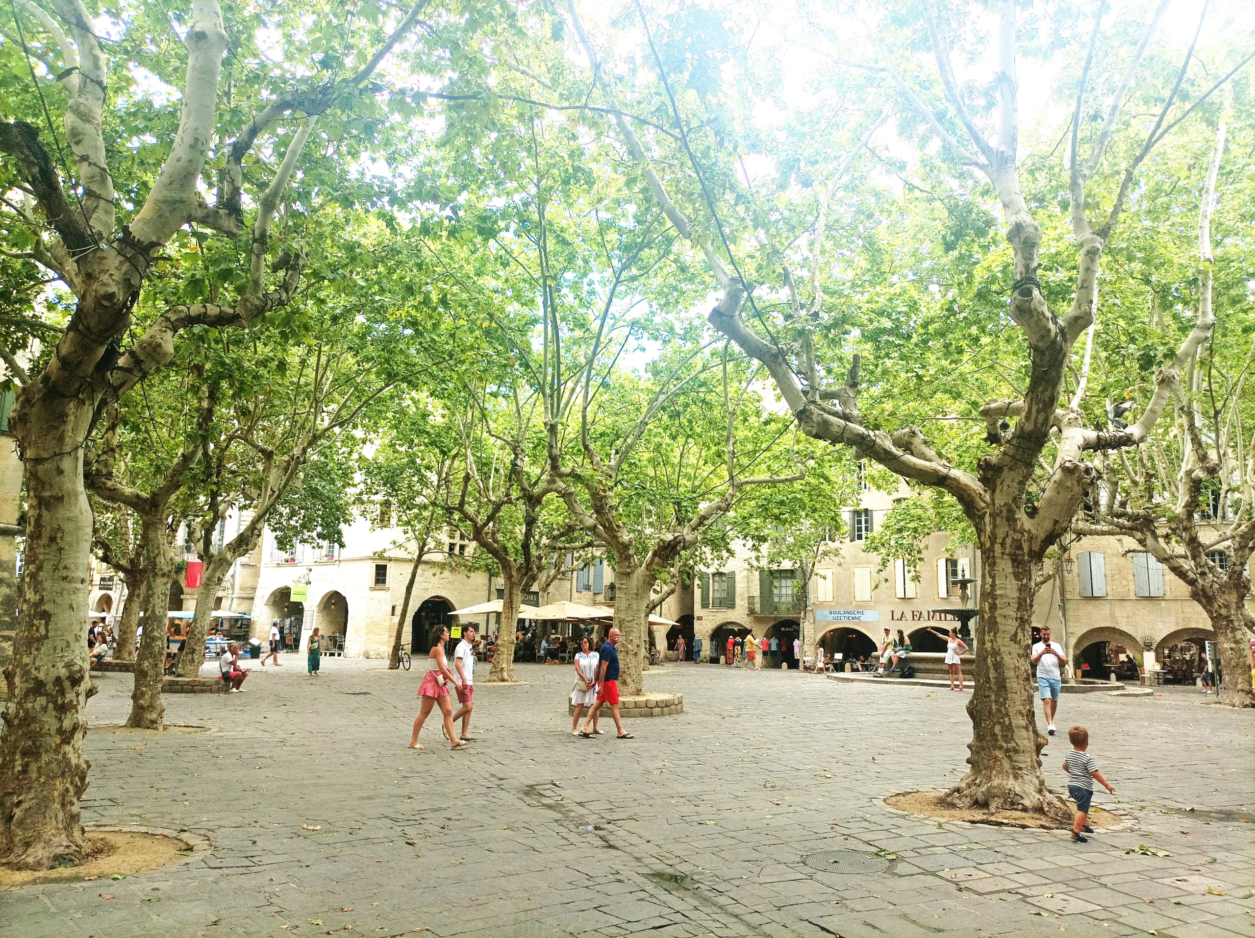 Guided tour in Uzès, Romain Bouchaud